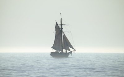 Fakta om alla Pirates of the Caribbean-filmer